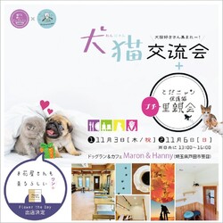 とだニャンプチ里親会