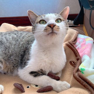 大人しくて良い子です(*^^*)