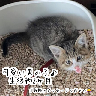 生後2ヶ月可愛い男の子♡