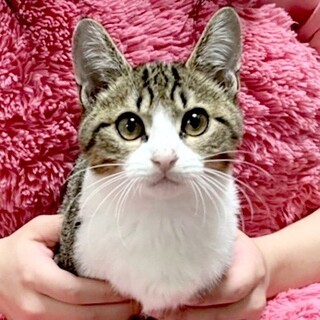 6兄妹　10/30Terra里親会に参加❣️