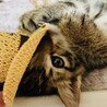 ありがとうございました サムネイル2