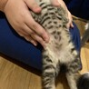 ありがとうございました サムネイル4