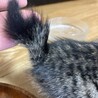 ありがとうございました サムネイル5