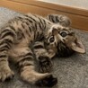 ありがとうございました サムネイル7