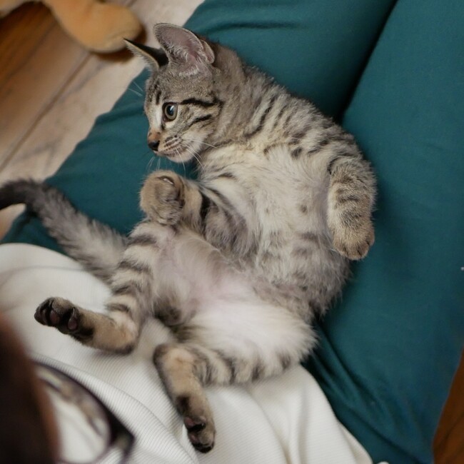 ひなせ-hinase-のカバー写真