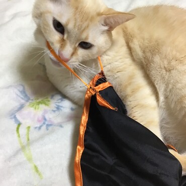 僕はママの今日の幸せだって。颯太くんもそうだよ。一緒に居ようよね❣️