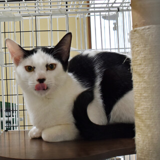 個性的な白黒柄スリゴロ男の子