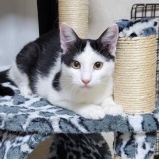 イケメンらいちくん