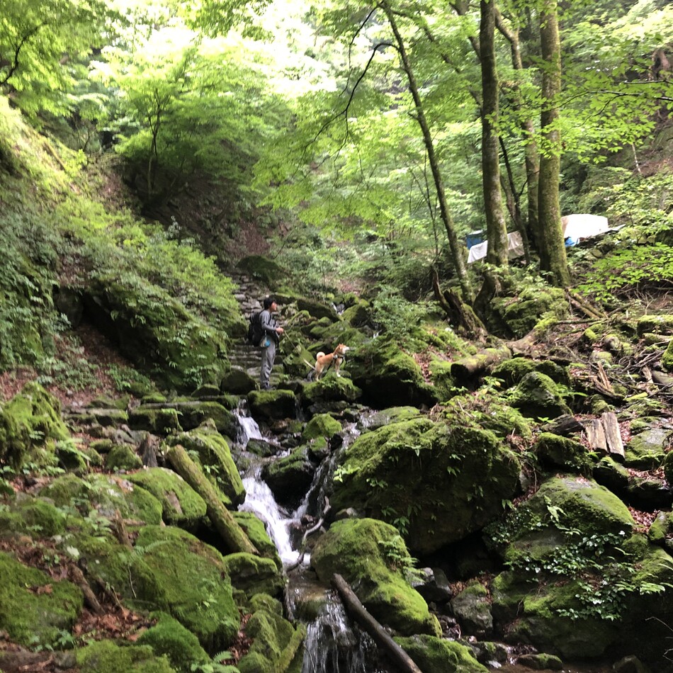 福助のカバー写真