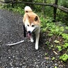 山が好き