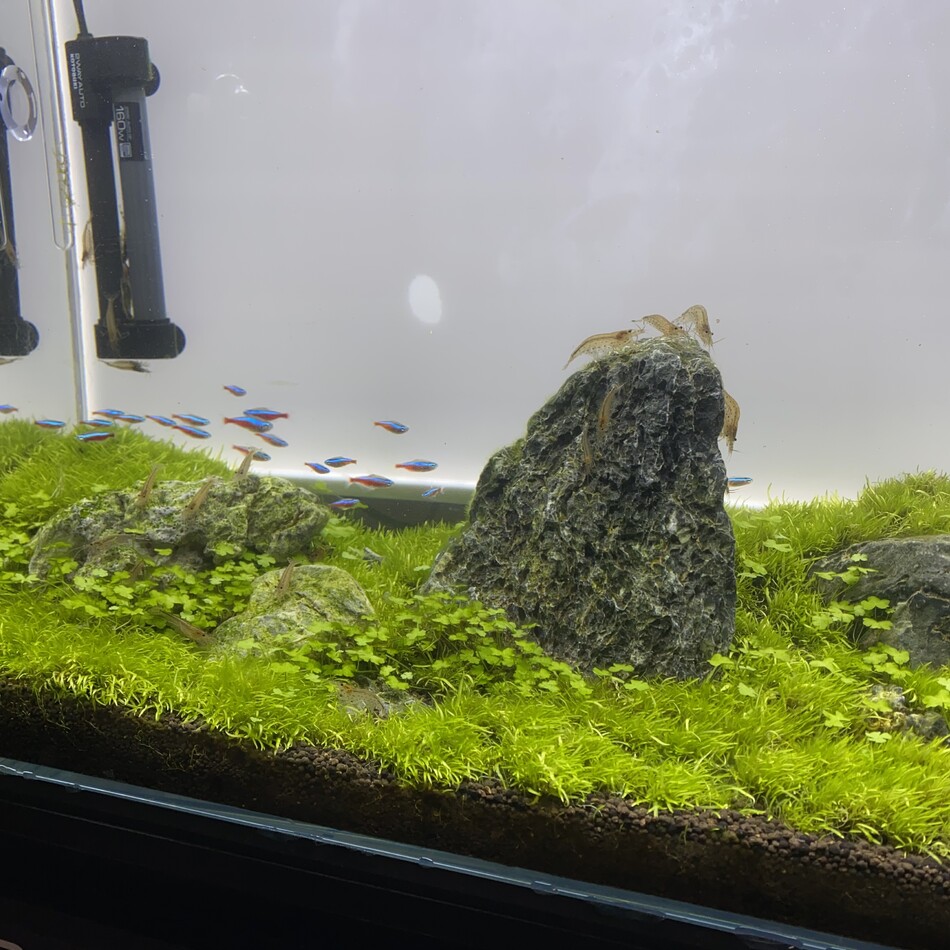 名無しのカバー写真