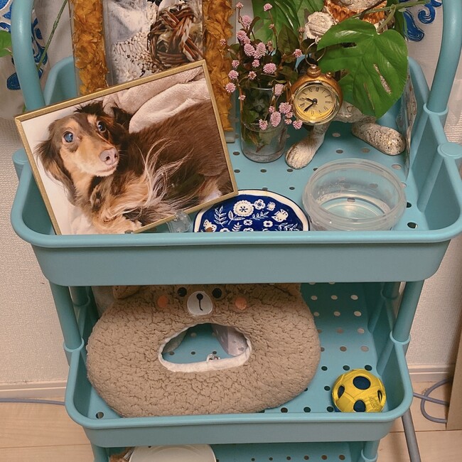 nirinのカバー写真