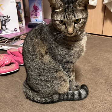 の写真
