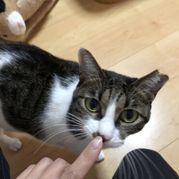の写真