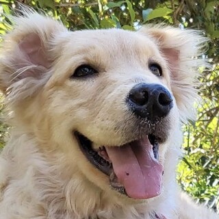 推定5ヶ月♀ふゆ