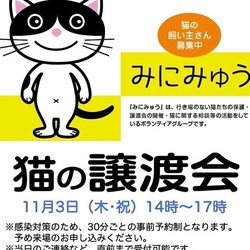 みにみゅう ミニ譲渡会
