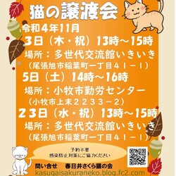 保護猫の譲渡会in小牧