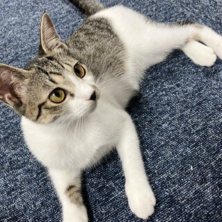 甘えん坊のメイちゃん