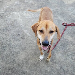 ありがとうございました！