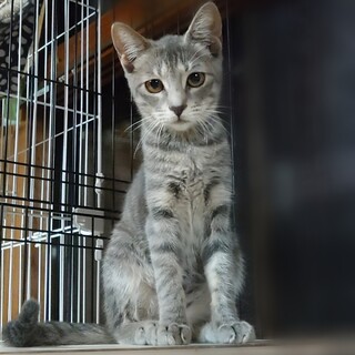 生後半年〜♡も〜ちゃん♡女の子