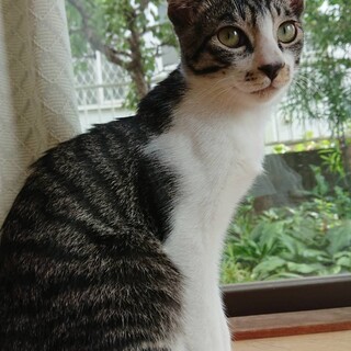 元気いっぱい！兄弟一緒に