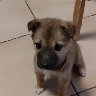 9月22日生まれの可愛い女の子 仮称カンナちゃん