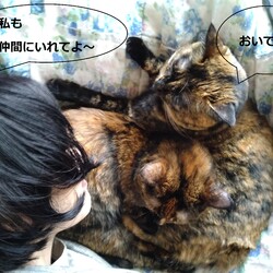 「仲間に入れて～」サムネイル2