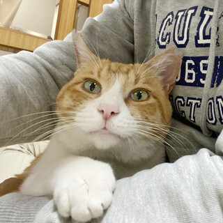 性格満点◎犬みたいに人懐っこい『こじろう』