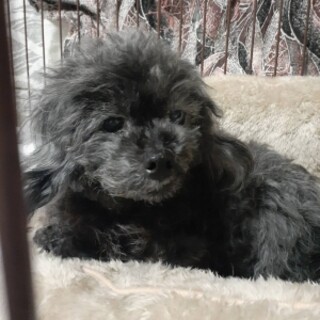 甘えん坊な女の子