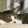 ビビりのイケメン♪のり サムネイル5