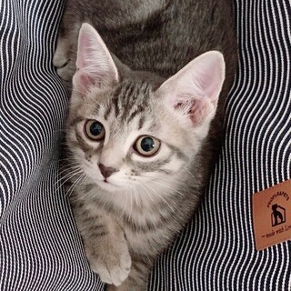 なかちゃん◆ご飯・遊び・人間も大好き！