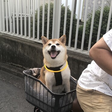 チャリ大好き！