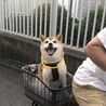 チャリ大好き！