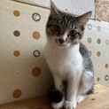 人馴ればっちり☆生後半年の渚くん
