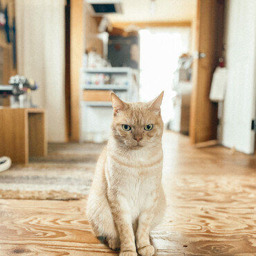 の写真