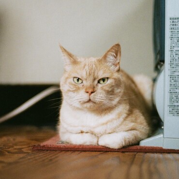 の写真