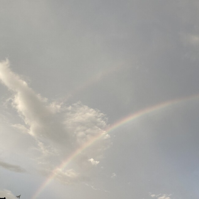 ほのはなのカバー写真