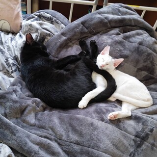 すぐに慣れ慣れに(^_-)