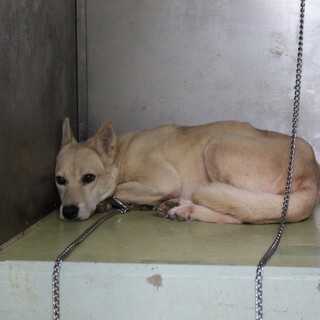 頑張ってます、マミィちゃん