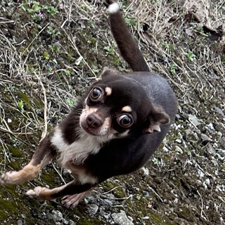 里親探してます