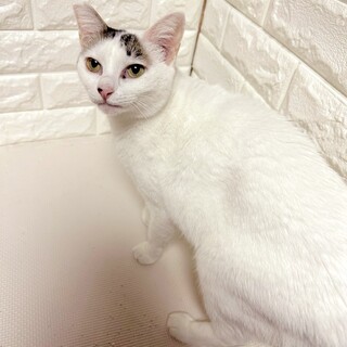 美少女きいちゃん♡