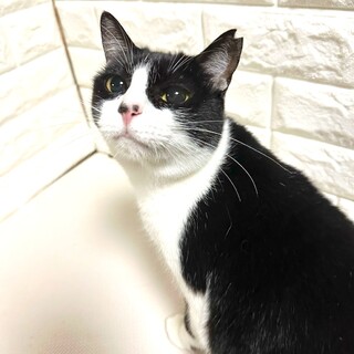 スリスリ大好き♡まるちゃん♡