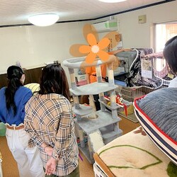 AWA総社犬ねこ譲渡会