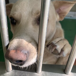 ありがとうございました！