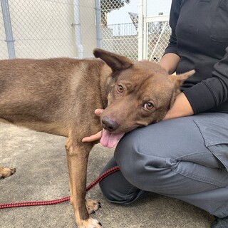 ありがとうございました！