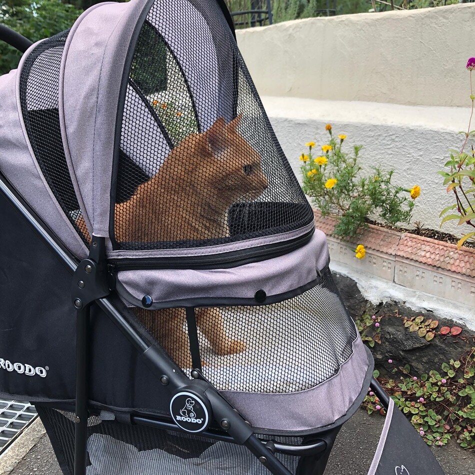 はるのカバー写真