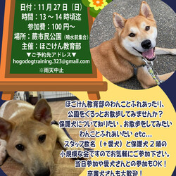 ほごけんプチお散歩会