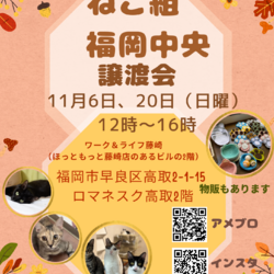 ねこ組福岡中央譲渡会in藤崎 サムネイル1