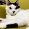 さちこんぶさん