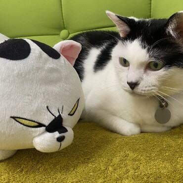 の写真